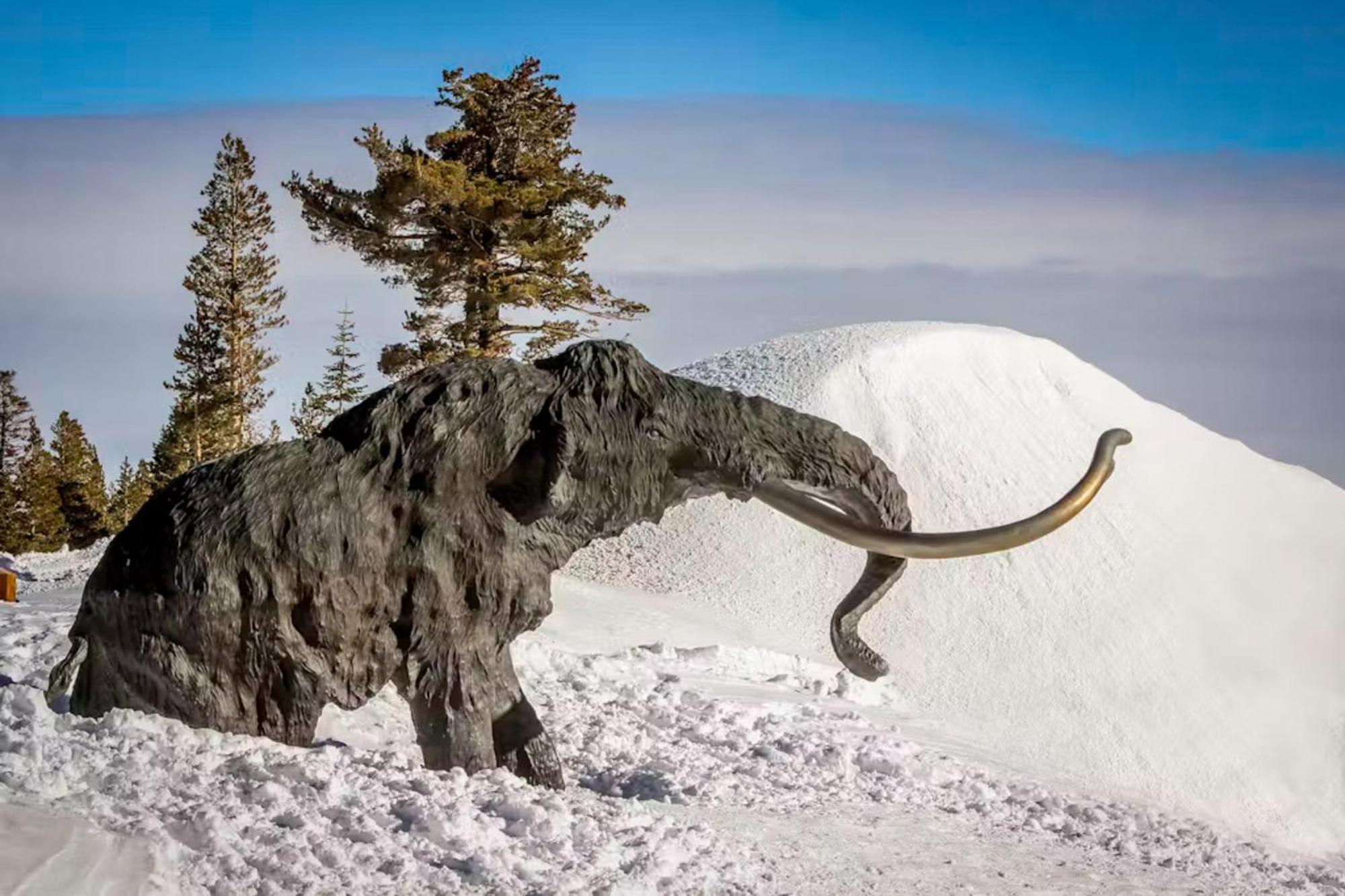 Chamonix 100 Leilighet Mammoth Lakes Eksteriør bilde